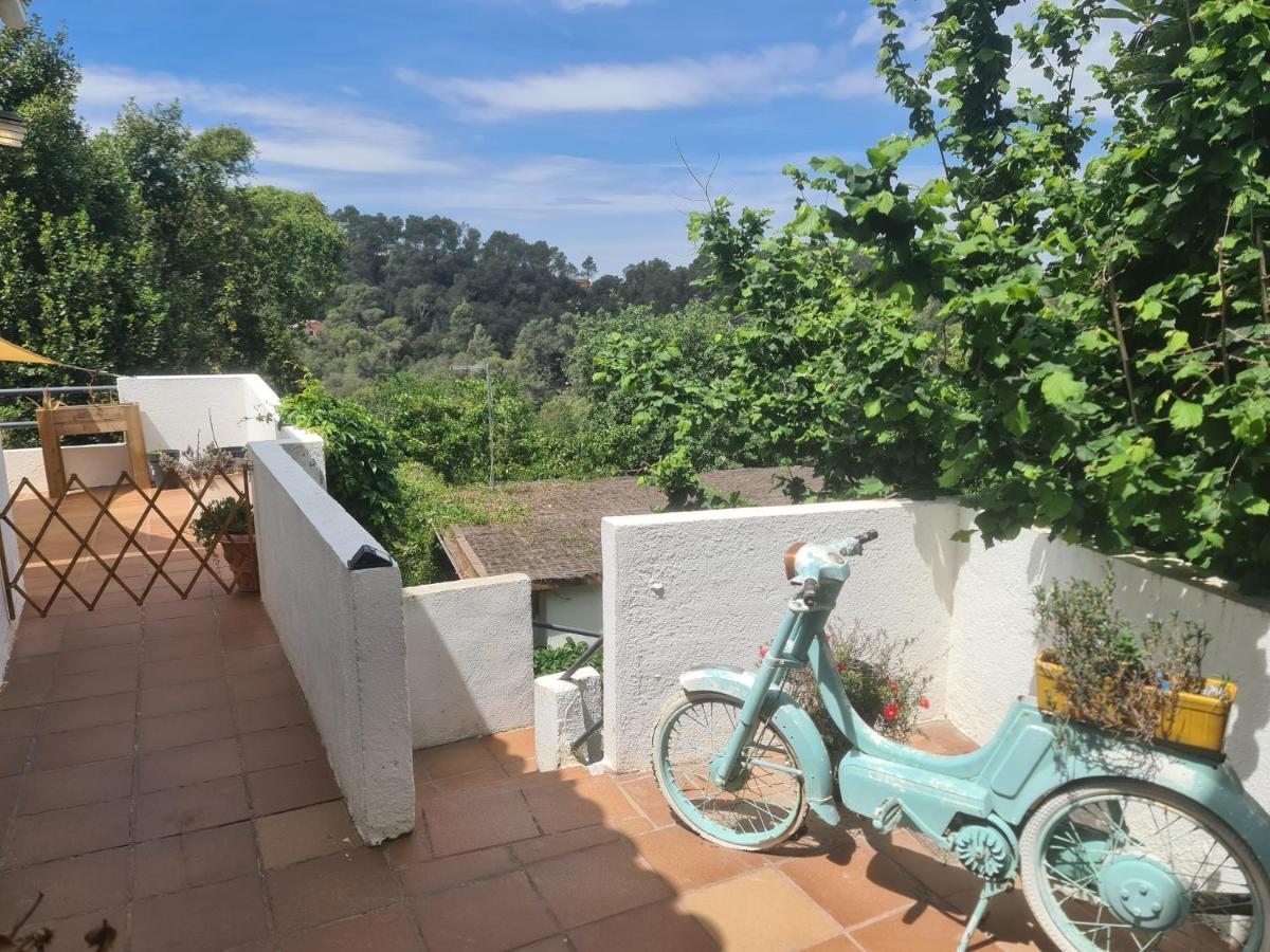 Nature Oasis Near Barcelona With Swimming Pool Parties Not Allowed Sant Cugat del Vallès Dış mekan fotoğraf